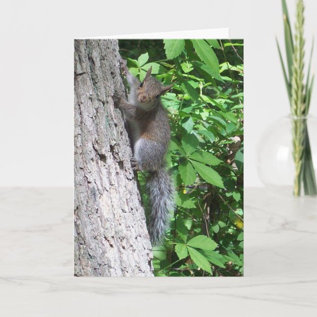"Baby Squirrel" Card (Front)