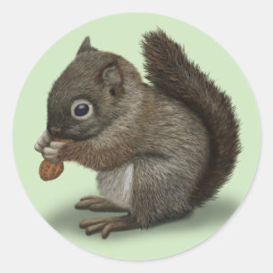 Baby Squirrel Classic Round Sticker