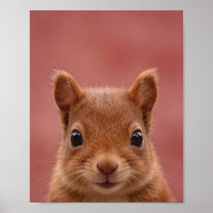 Baby Squirrel Portrait Nursery Wall Art