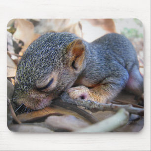 Baby Squirrel Sleeping Mouse Pad