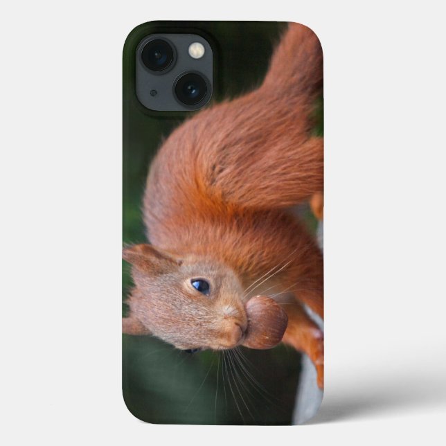 Baby Squirrel with Nut iPad Mini Case (Back)