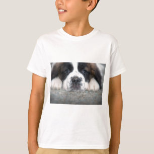 Baby St Bernard T-Shirt