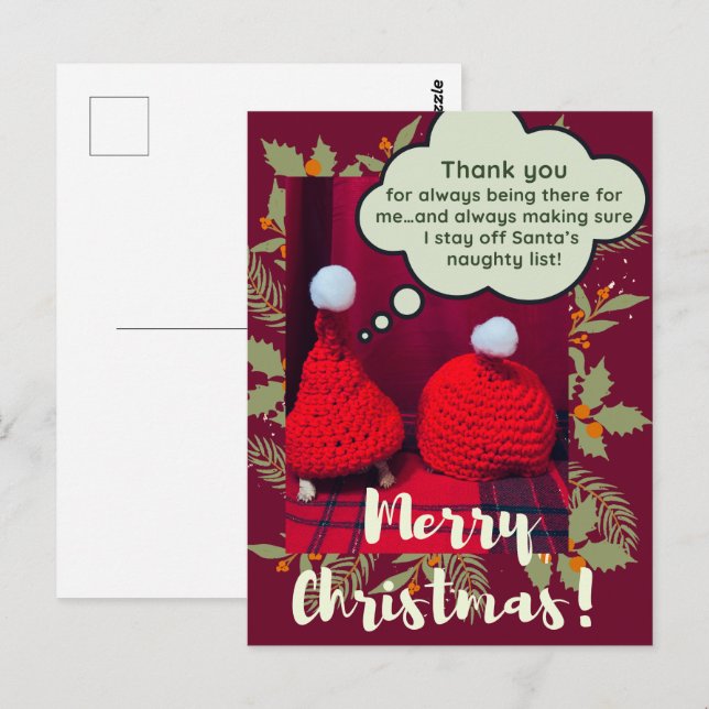 Baby Sulcata Tortoise Best Friends Funny Christmas Postcard (Front/Back)