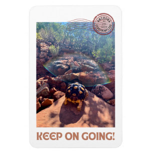 Baby Sulcata Tortoise Keep On Going Inspiration Magnet