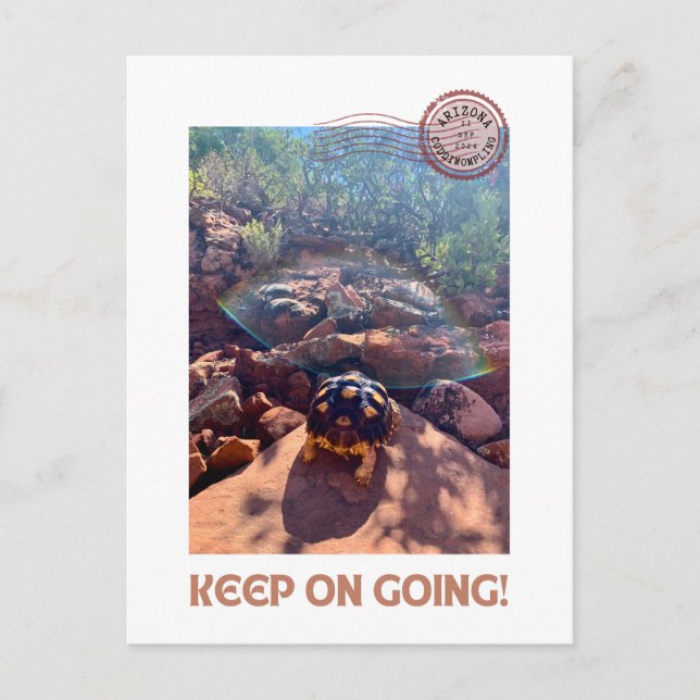 Baby Sulcata Tortoise Keep On Going Inspiration Postcard (Front)