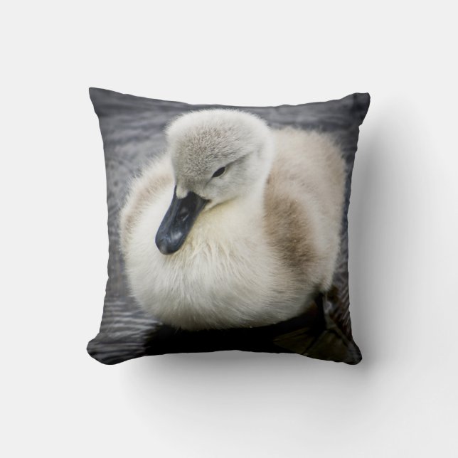 Baby Swan | Cygnet Throw Pillow (Front)