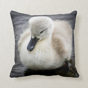 Baby Swan   Cygnet Throw Pillow