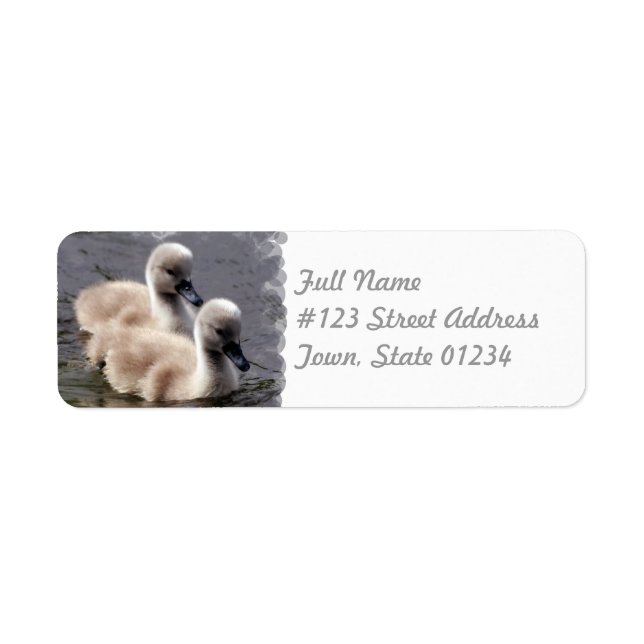 Baby Swans Mailing Label (Front)