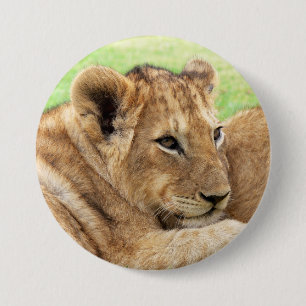Baby Tiger buttons