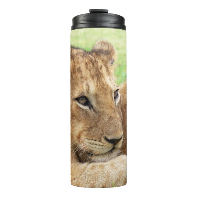 Baby Tiger custom monogram tumbler (Front)