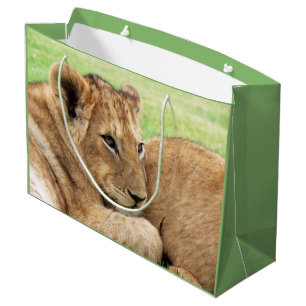 Baby Tiger gift bag
