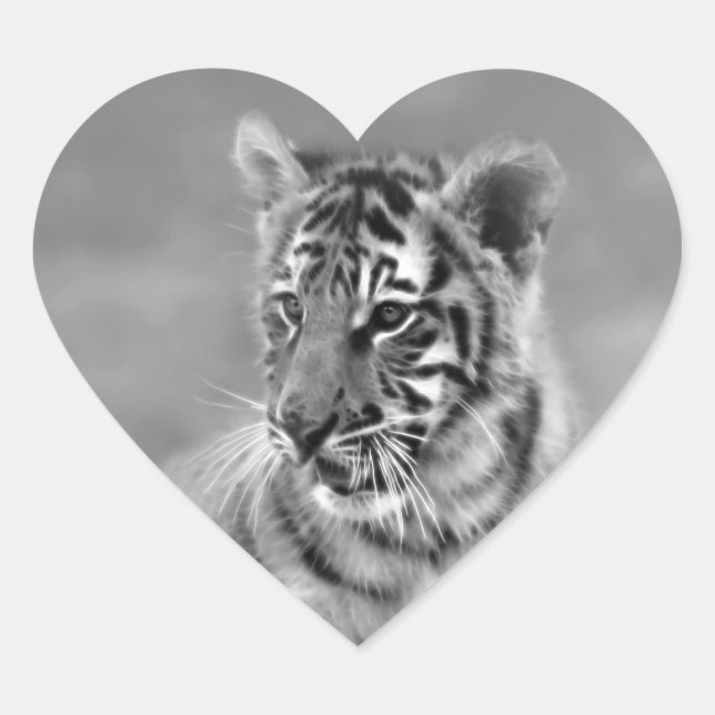 Baby Tiger in Black and white Heart Sticker (Front)