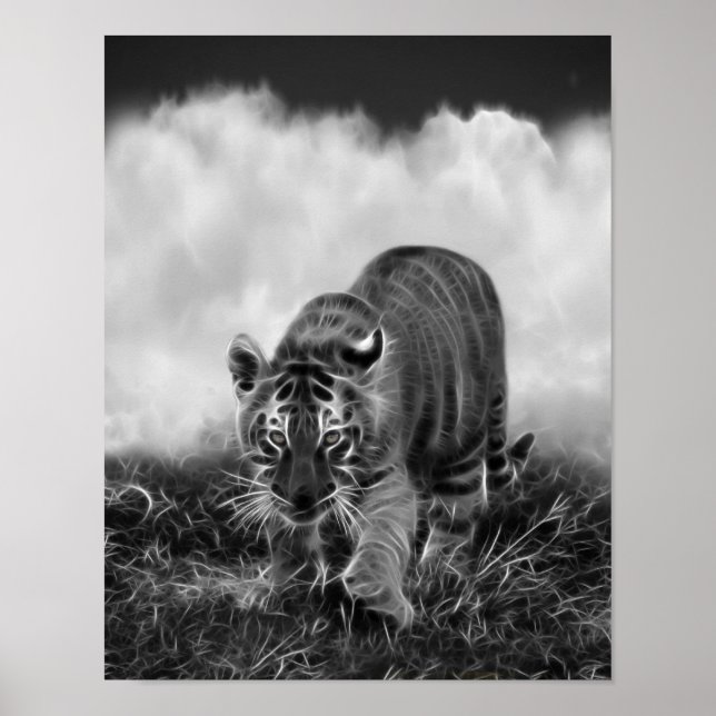 Baby Tiger stalking in Black and white Poster (Front)