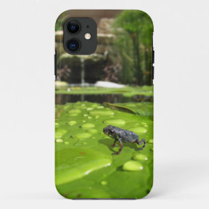 Baby Toad in Pond iPhone 11 Case