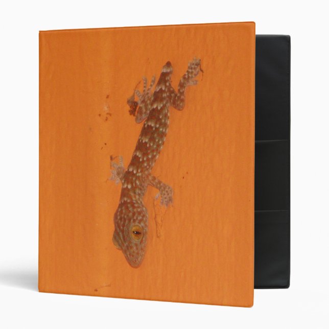 Baby Tokay Gecko Binder (Front/Inside)