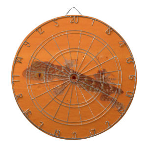 Baby Tokay Gecko Dartboard