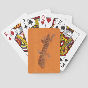 Baby Tokay Gecko Playing Cards