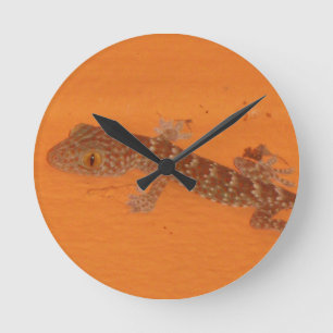 Baby Tokay Gecko Round Clock
