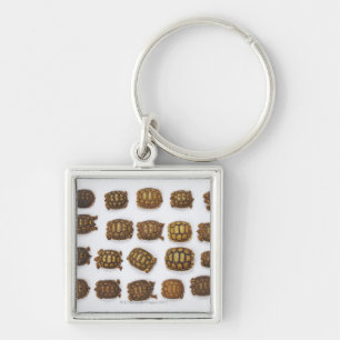 Baby tortoises arranged in rows keychain