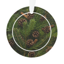 Baby Tree Cute Ornament