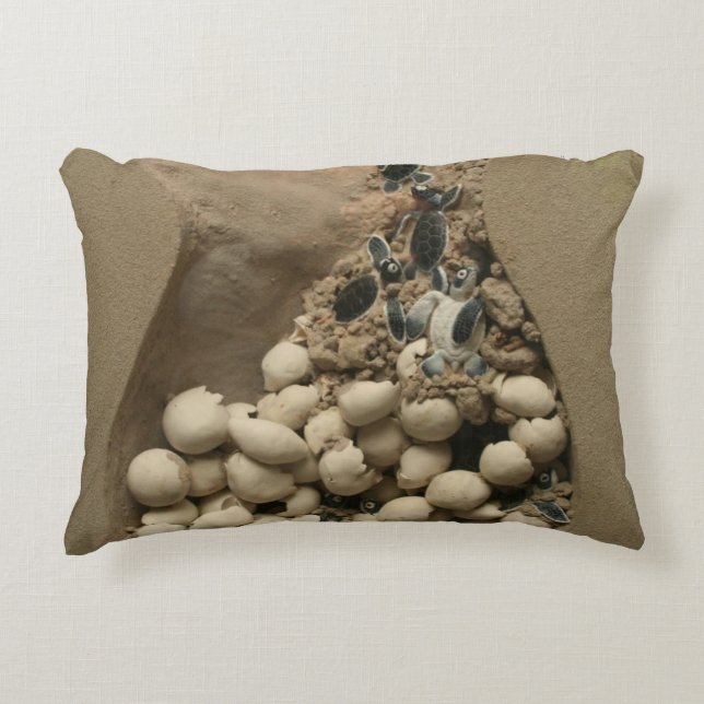 Baby Turtle Eggs Hatching Accent Pillow (Front)