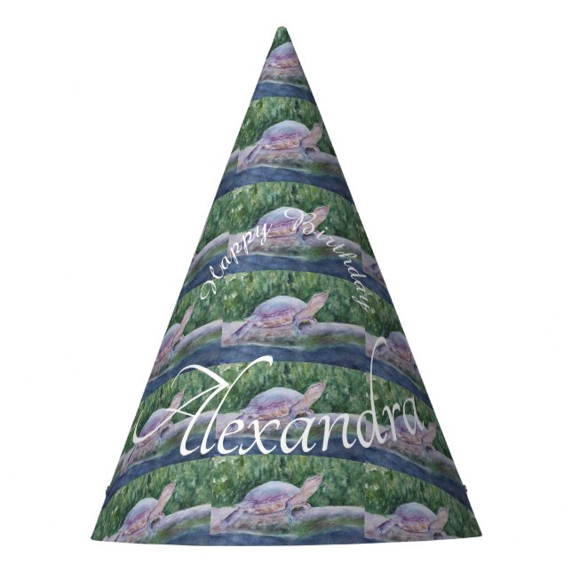Baby Turtle Happy Birthday Party Hat (Front)