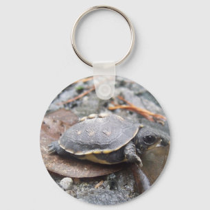 baby turtle keychain