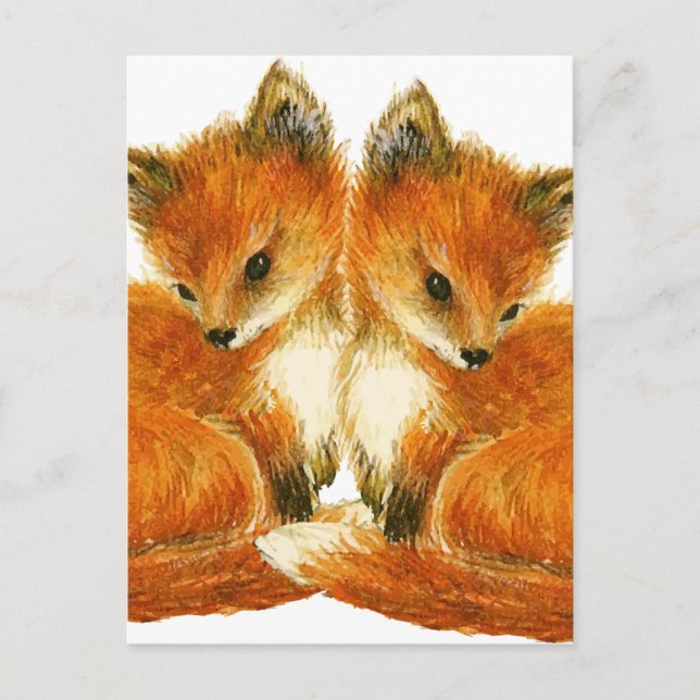 Baby Twin Foxes Postcard (Front)