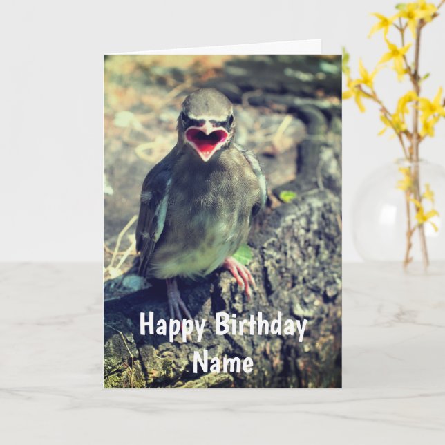 Baby Waxwing Bird Personalized Birthday Card (Yellow Flower)