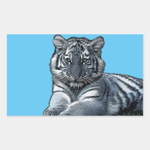 baby white baby tiger cub jungle safari animal art sticker