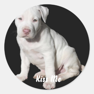 Baby White Pitbull Puppy Classic Round Sticker
