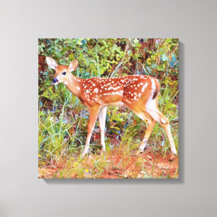 Baby Wild Deer Fawn Canvas Art Print