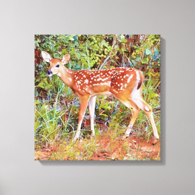 Baby Wild Deer Fawn Canvas Art Print (Front)