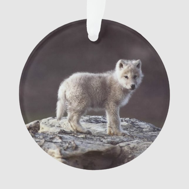 Baby Wolf Ornament (Front)