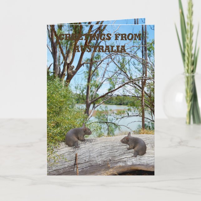 Baby Wombats Playing On A Log, Greeting Card (Front)