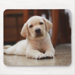 Baby Yellow Labrador Puppy Dog laying on Belly Mouse Pad
