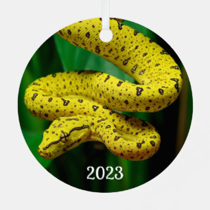 Baby Yellow Phase Green Tree Python Snake Metal Ornament
