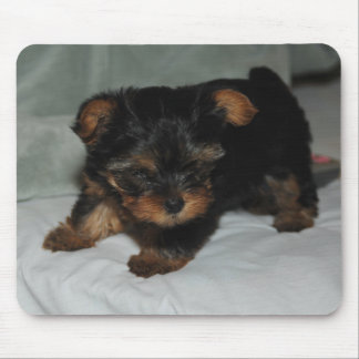 baby yorkie mouse pad