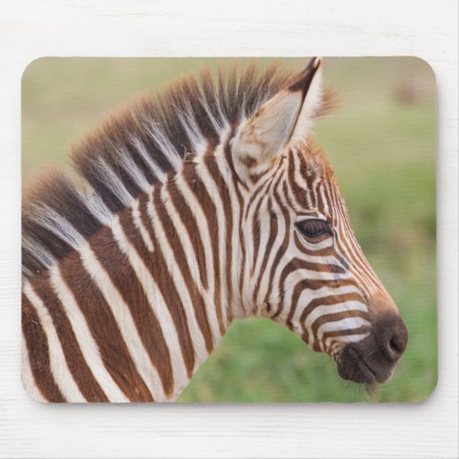 Baby zebra head, Tanzania Mouse Pad (Front)