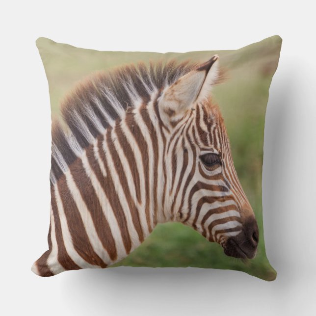 Baby zebra head, Tanzania Throw Pillow (Front)