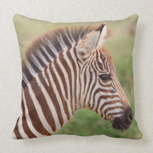 Baby zebra head, Tanzania Throw Pillow