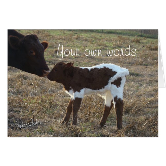 BabyBliss-any occasion-customize (Front Horizontal)