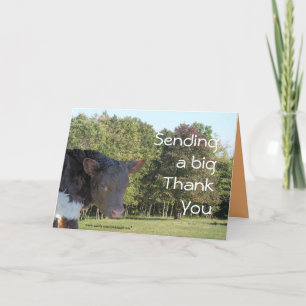 BabyCalf ThankYou-customize any occasion Thank You Card