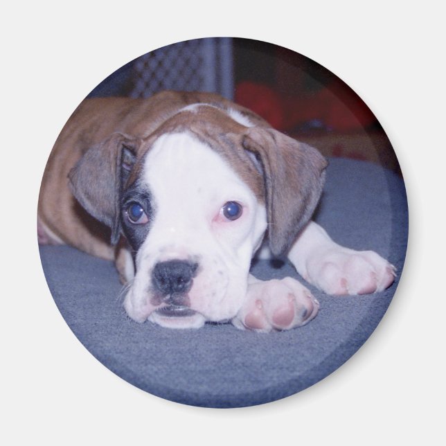 BabyChloe Magnet (Front)