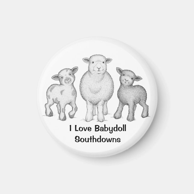 Babydoll Sheep Magnet (Front)