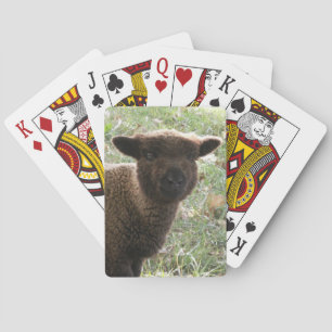 Babydoll Southdown Lamb Playing Cards