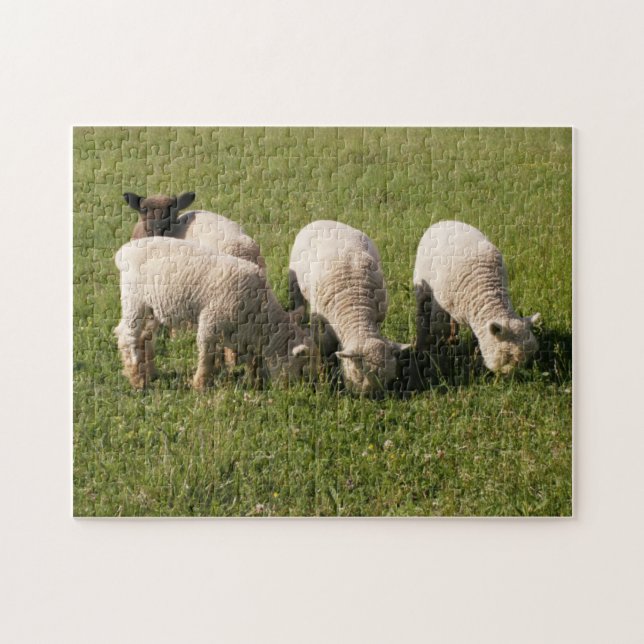 Babydoll Southdown Lambs Jigsaw Puzzle (Horizontal)