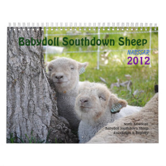 Babydoll Southdown Sheep 2012 NABSSAR calendar