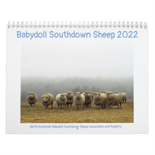 Babydoll Southdown Sheep 2022 Calendrier NABSSAR (Protection)