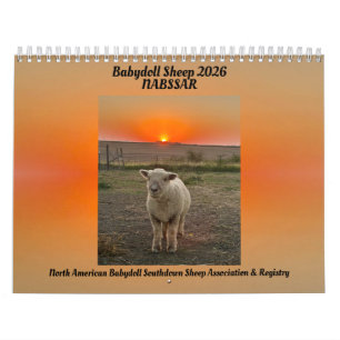 Babydoll Southdown Sheep 2026 NABSSAR Calendar